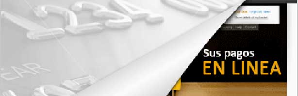 Cómo vender con tarjetas de crédito en su sitio web