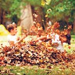 Niños y naturaleza