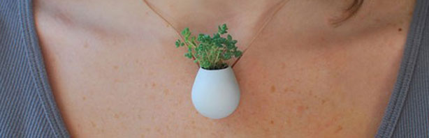 Colgantes con plantas en miniatura