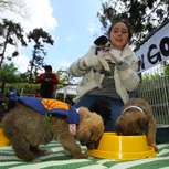 Los alimentos perfectos para las Mascotas